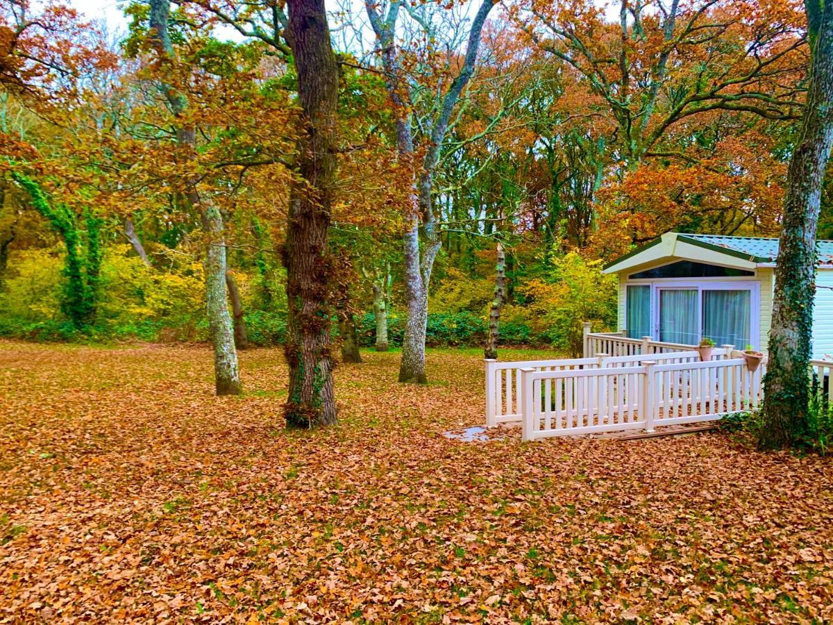 Forest Shorefield Park Campingplatz 5*